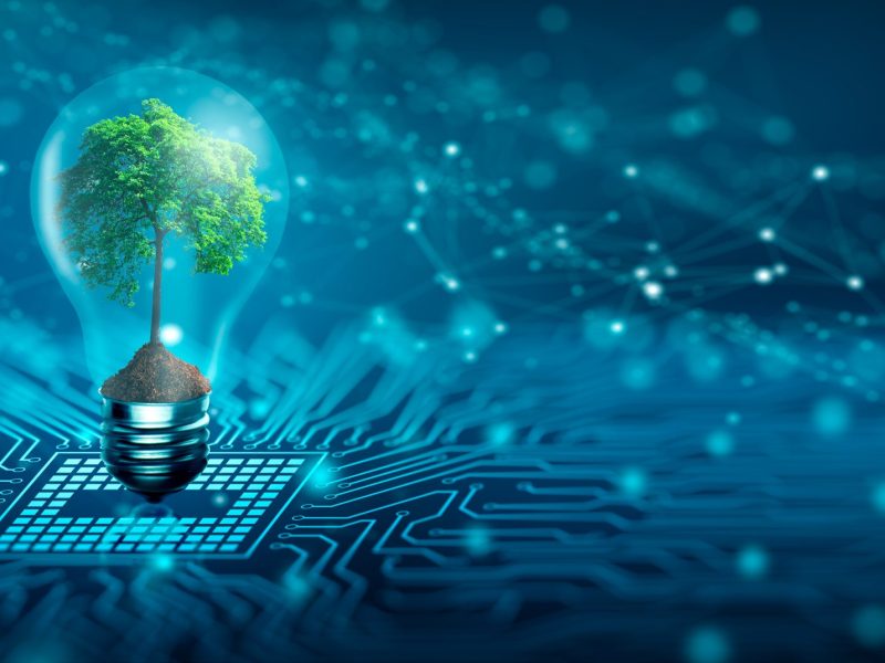 Tree with soil growing on  Light bulb. Digital Convergence and and Technology Convergence. Blue light and network background. Green Computing, Green Technology, Green IT, csr, and IT ethics Concept.